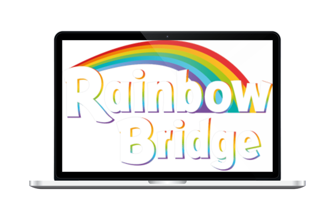 Rainbow Bridge 4-5 - Teacher's Resource Pack - The English Book