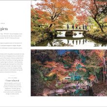 91P6qFMdvOL._SL1500_