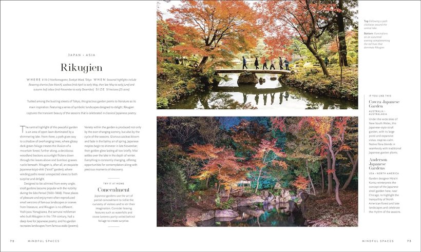 91P6qFMdvOL._SL1500_