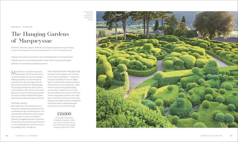 91WsRhsZPmL._SL1500_