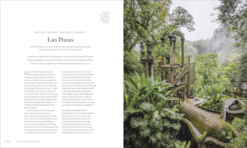 91aEVmy+gvL._SL1500_