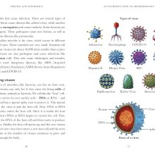 81UMxb6h6NL._SL1500_