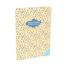 Hazy-Daisies-New