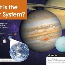 81kvOugcg2L._SL1500_