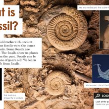 91QgVzoLW0L._SL1500_