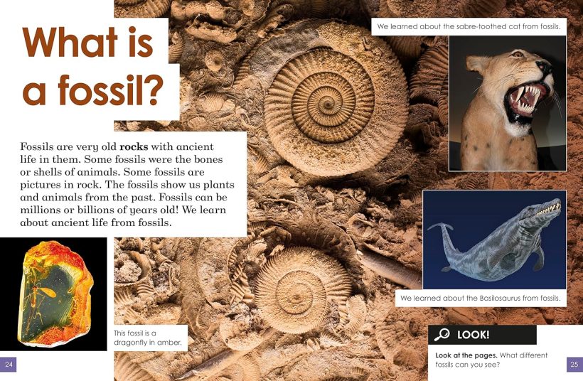 91QgVzoLW0L._SL1500_