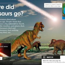 91nDCiKNk8L._SL1500_