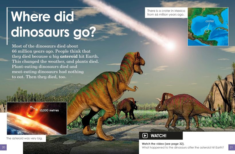 91nDCiKNk8L._SL1500_