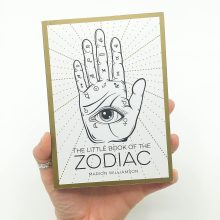 81EDfLPsl2S._SL1500_