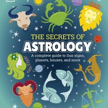 81ZOzxt763L._SL1500_