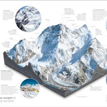 81xZky7VJgL._SL1500_