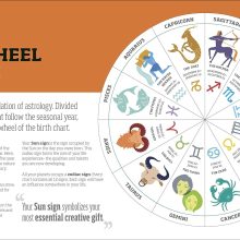 81yS73sdxRL._SL1500_