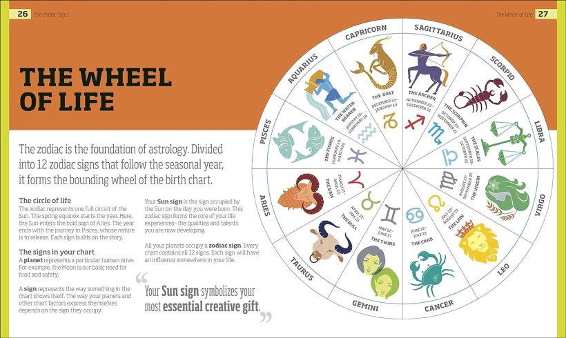 81yS73sdxRL._SL1500_