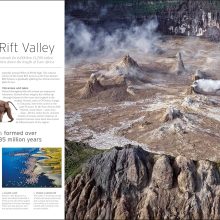 91gsVJ2dp6L._SL1500_