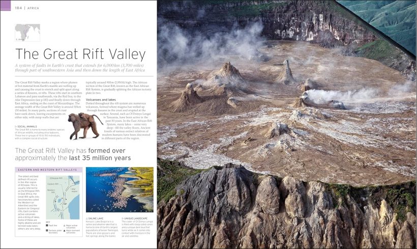 91gsVJ2dp6L._SL1500_