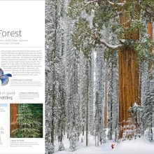 91isoSFaogL._SL1500_