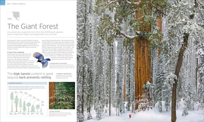 91isoSFaogL._SL1500_