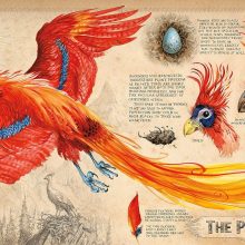 91j96mCFkfL._SL1500_