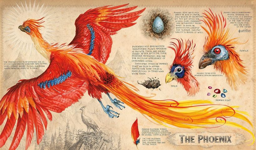 91j96mCFkfL._SL1500_