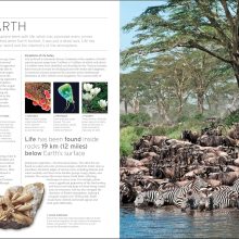 91xXyBAVo8L._SL1500_