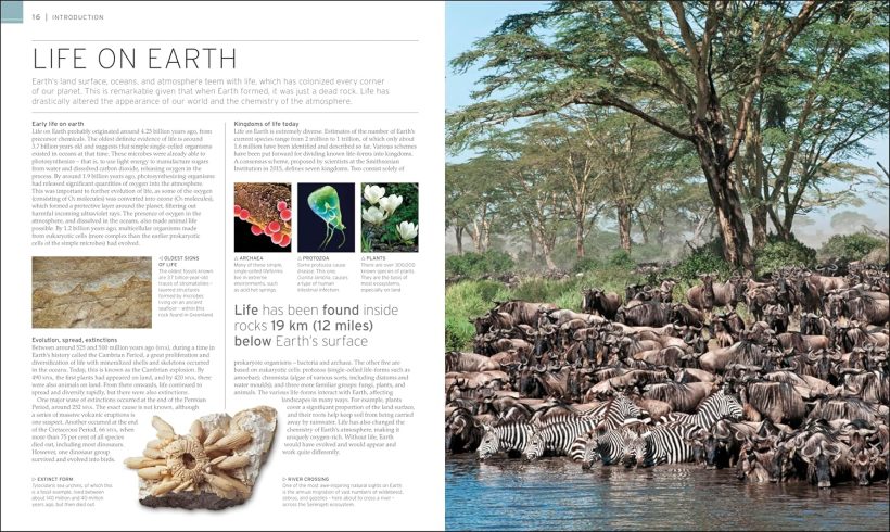 91xXyBAVo8L._SL1500_