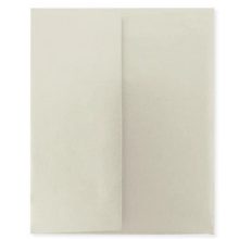 AL086-New-Chapter-Envelope