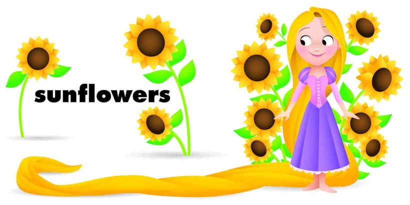 61CheBKGdgL._SL1500_