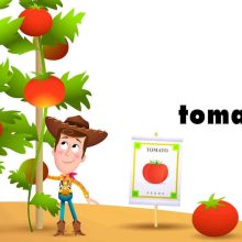 61bpo8PpIBL._SL1500_