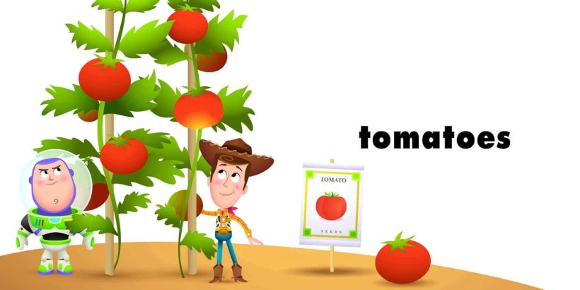 61bpo8PpIBL._SL1500_