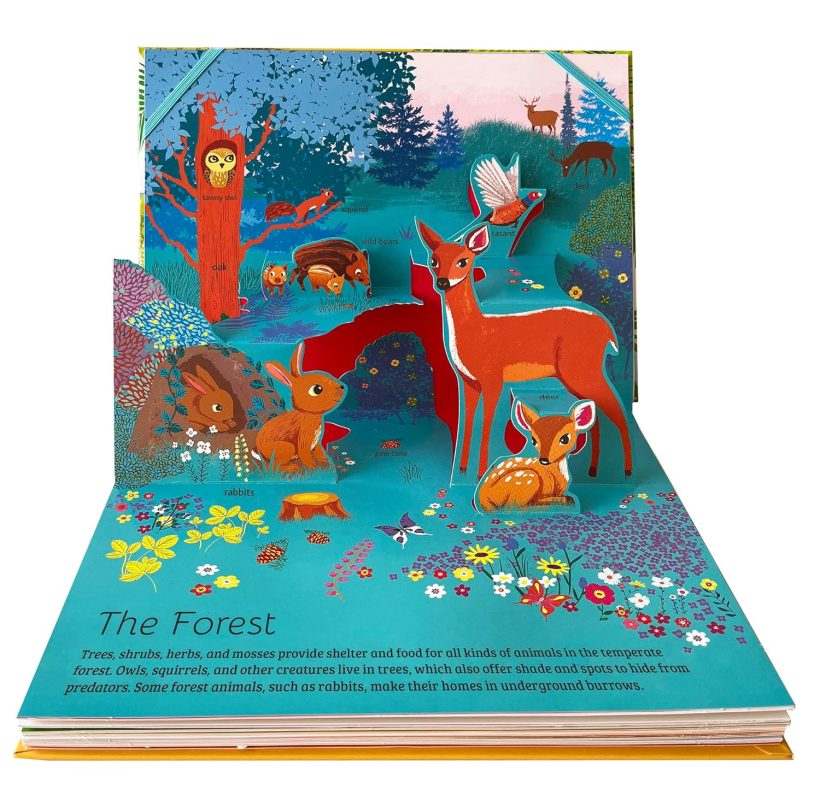 81EqG+VGK4L._SL1500_