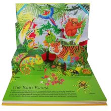 81Ln69LaTLL._SL1500_