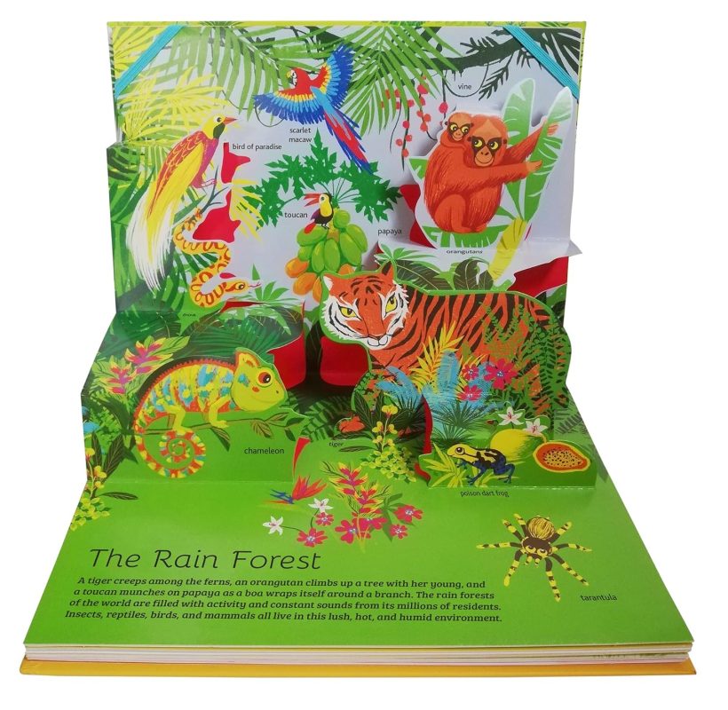 81Ln69LaTLL._SL1500_