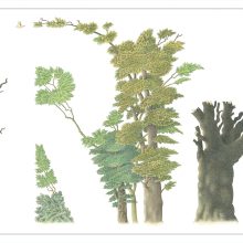 91WfOXMMiwL._SL1500_