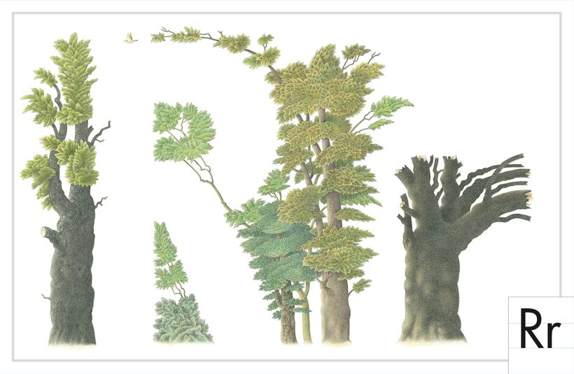 91WfOXMMiwL._SL1500_