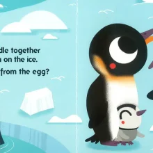 9781802421231_4_dd4744ef-030f-4ef2-b990-7a725b0ffa6c_1100x