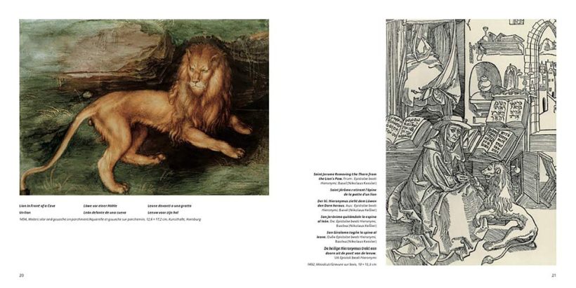 61N47M6suaL._SL1000_