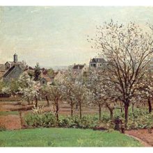 61q-xcAB5vL._SL1000_