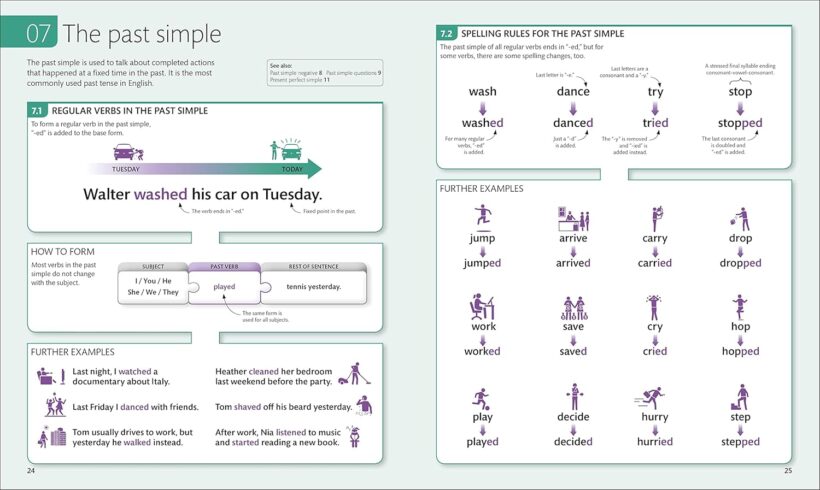 81CEDdXbPKL._SL1500_