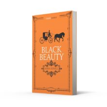 51GX-p3uMxL._SL1000_