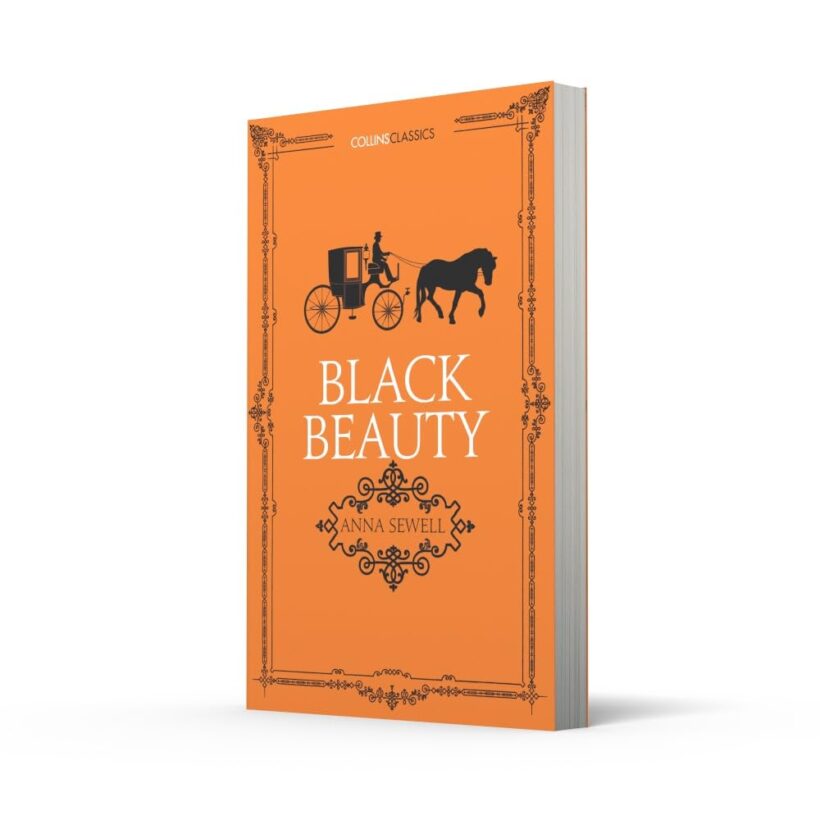 51GX-p3uMxL._SL1000_