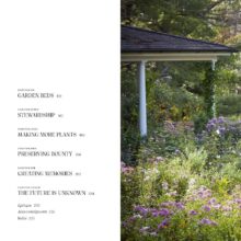 81R1d0vC-eL._SL1500_